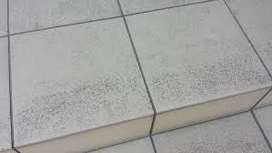 yjimage.jpg11