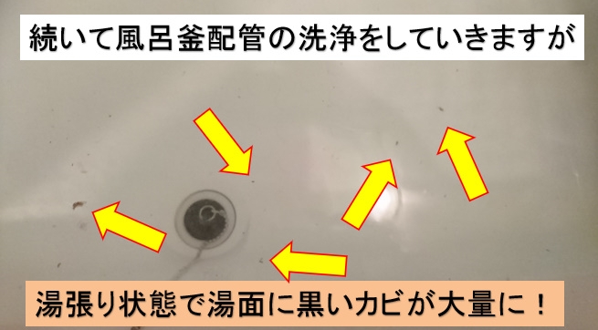 黒カビ　賃貸物件トラブル