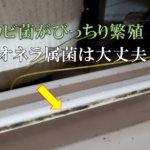 レジオネラ属菌は、ここにも繁殖している可能性も！【クリーンパートナー】