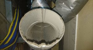 部屋がカビる原因　家で花粉症の症状が酷くなる方は