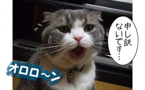 今年の発送は２９日注文分迄になります