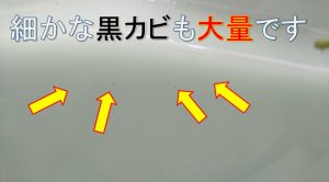 エコキュートの風呂釜配管を洗浄除菌してきました