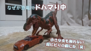 最近の風呂釜洗浄剤状況＆ねこ助店長の家の日々【クリーンパートナー】