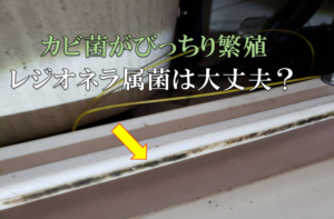 レジオネラ属菌は、ここにも繁殖している可能性も！【クリーンパートナー】