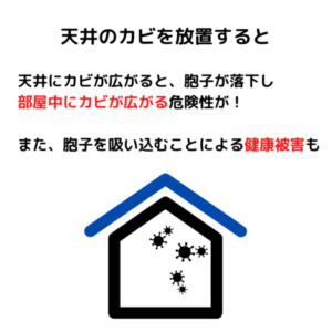 6月は梅雨で菌が繁殖しやすいので注意【クリーンパートナー】