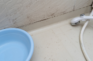 浴室のカビ対策に【クリーンパートナー】