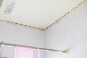 お風呂の雑菌数はどれくらい【クリーンパートナー】